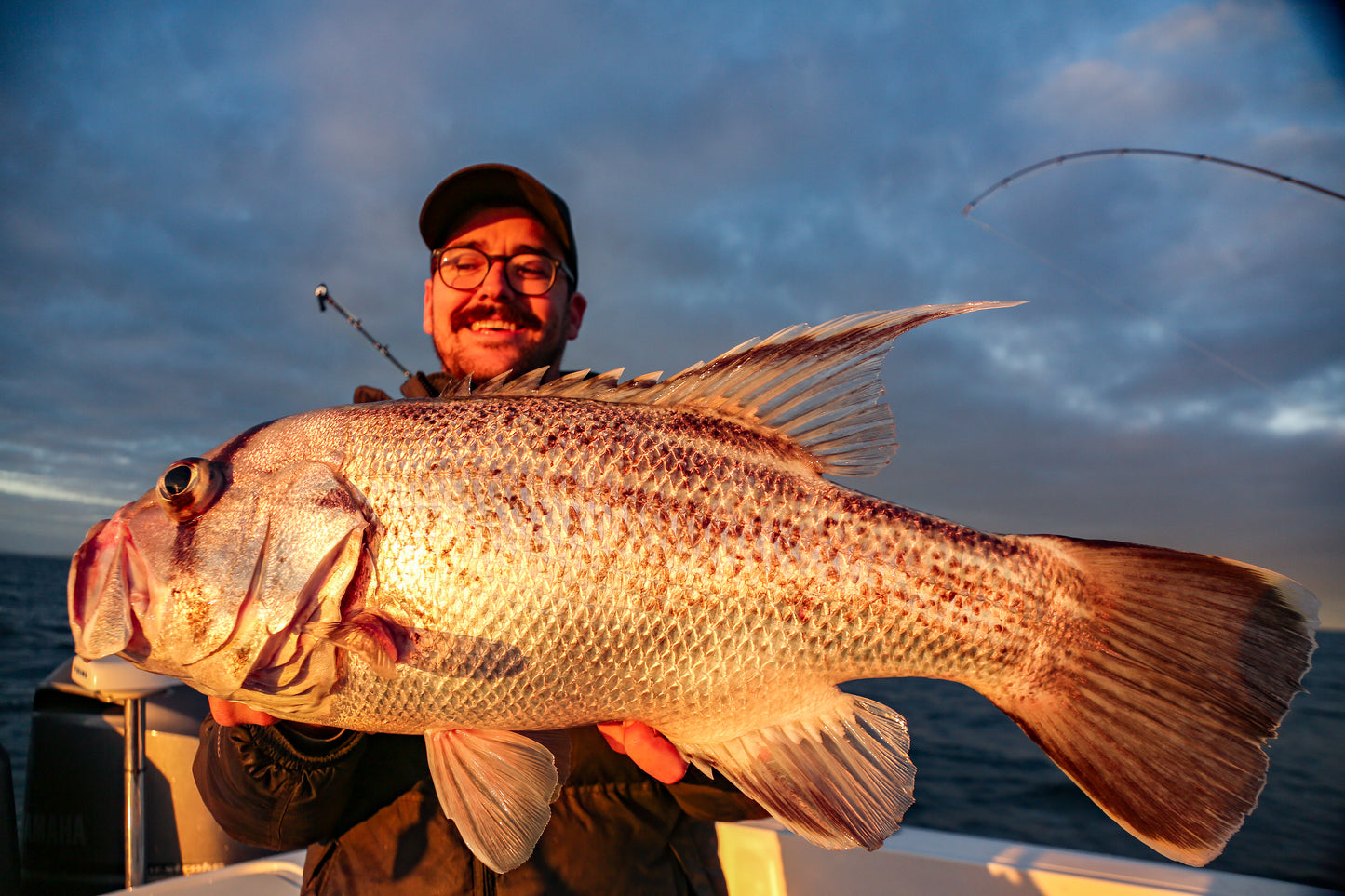 Paddletail (Ribbed) - 22cm, 13cm, 11cm