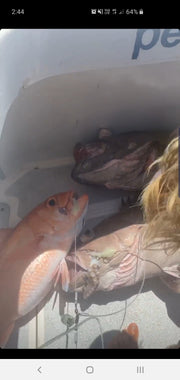 Deep Drop Rigs (16/0, 400lb)