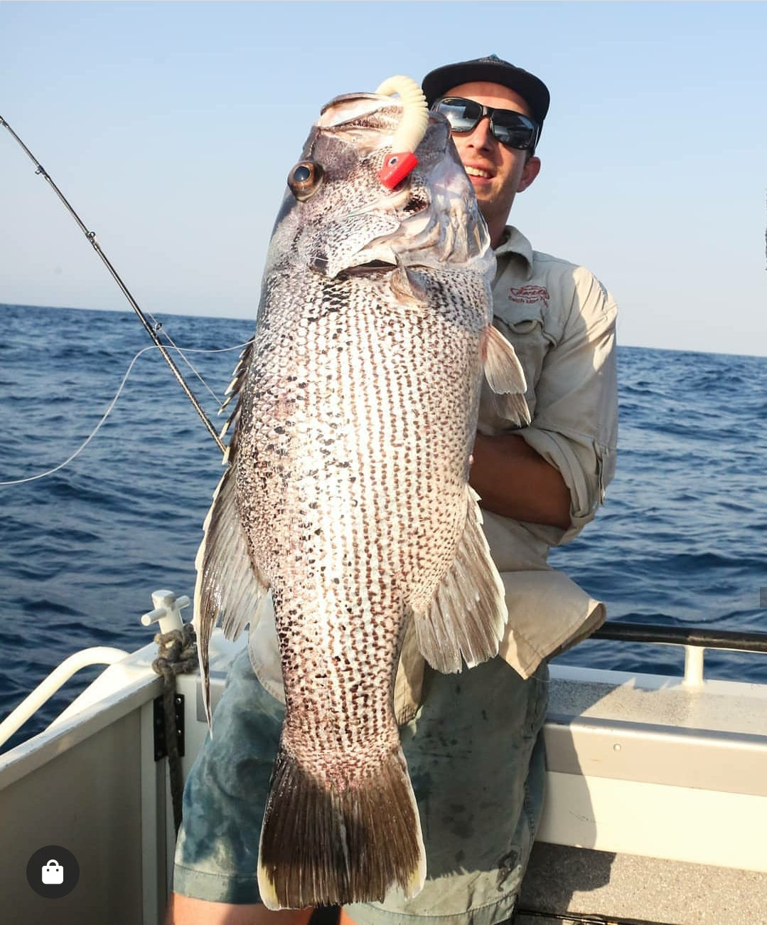 Paddletail (Ribbed) - 22cm, 13cm, 11cm