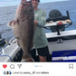 Deep Drop Rigs (16/0, 400lb)