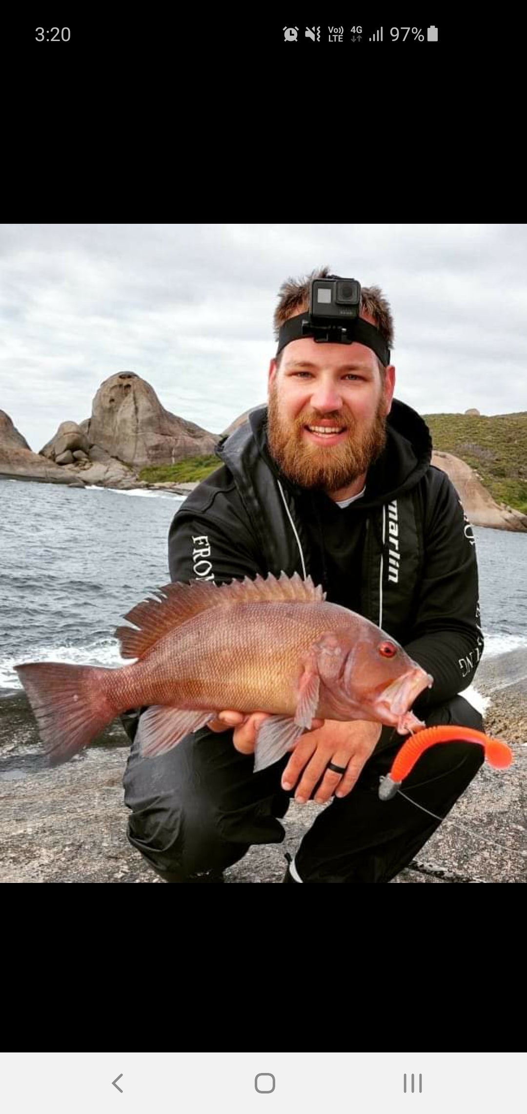 Paddletail (Ribbed) - 22cm, 13cm, 11cm