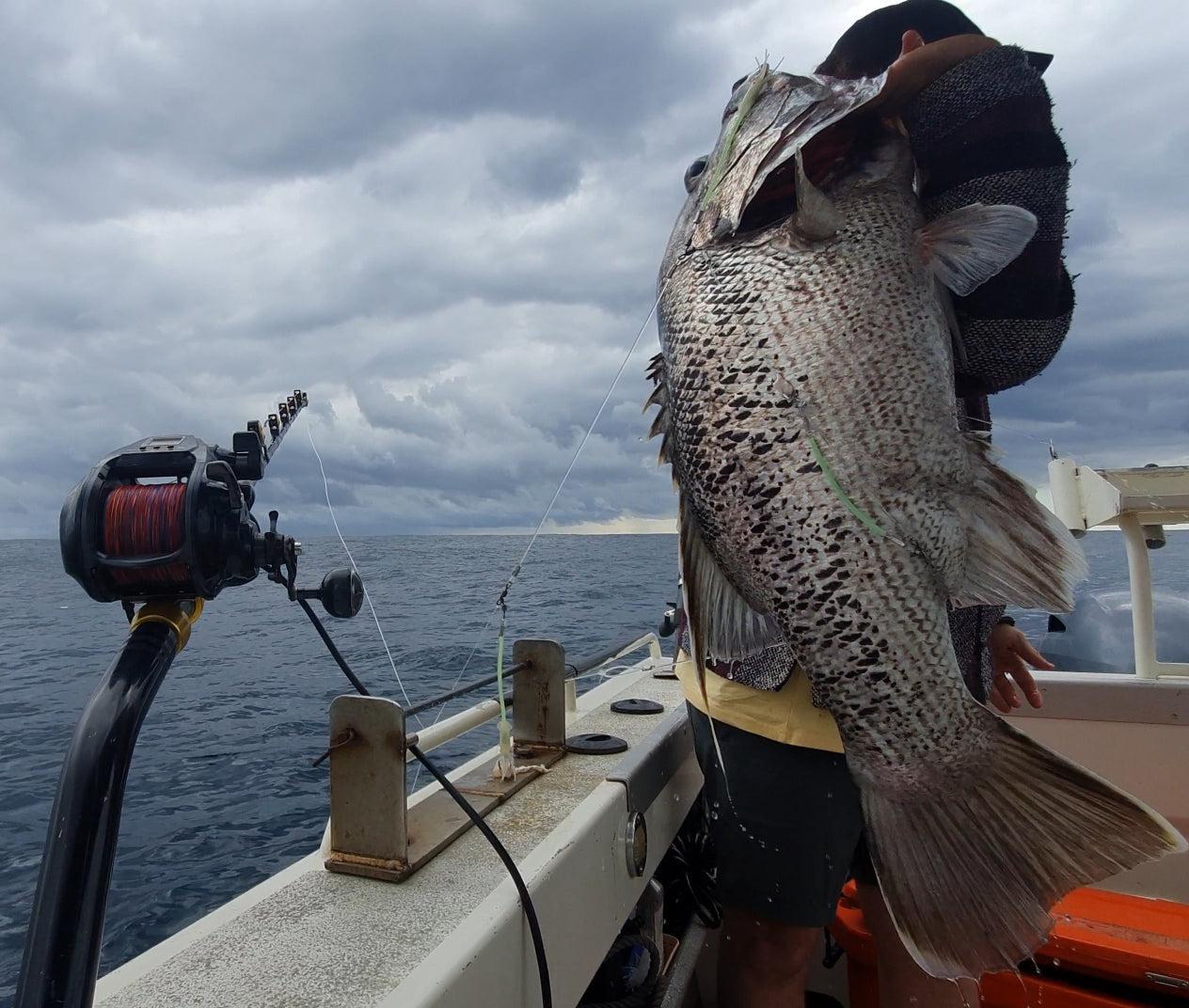 3 Dropper Rigs - J Hook