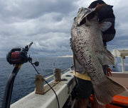 3 Dropper Rigs - J Hook