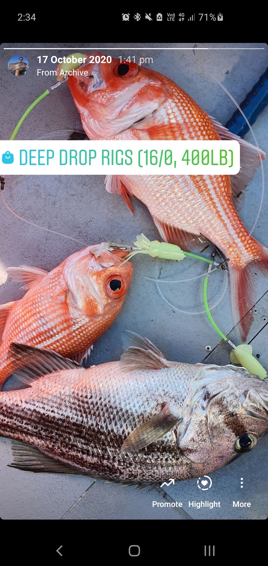 3 Dropper Rigs - J Hook