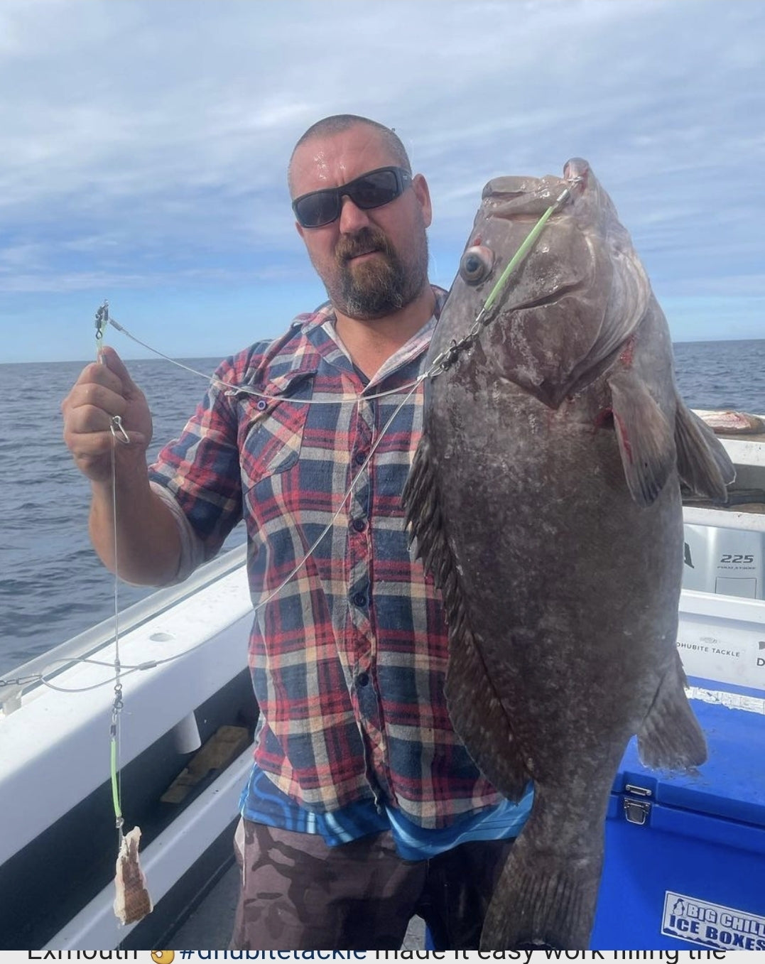 3 Dropper Rigs - J Hook