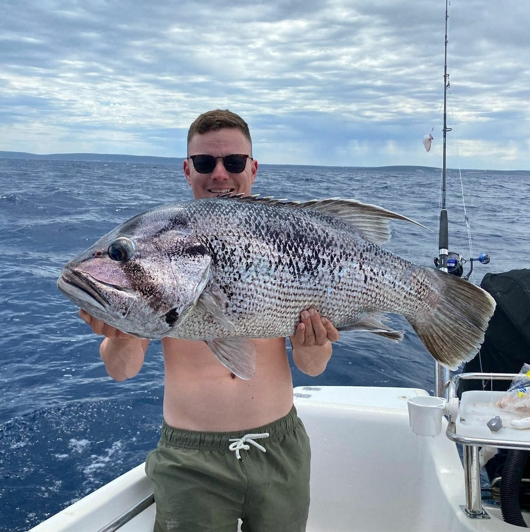 3 Dropper Rigs - J Hook