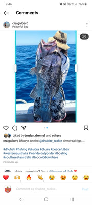 3 Dropper Rigs - J Hook