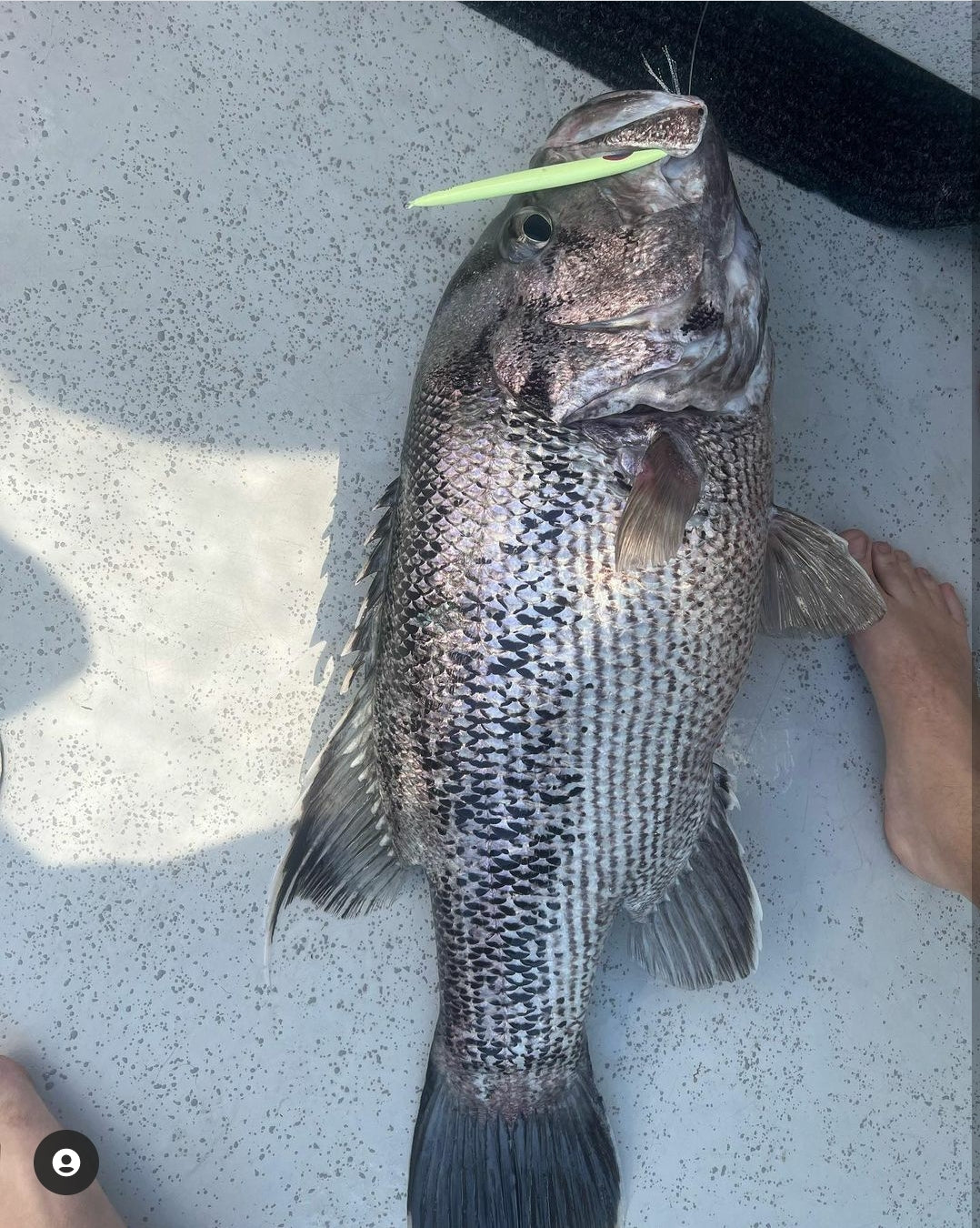 Deep Drop Jigs (600g, 750g, 1000g)