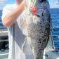 Baited Jig Heads