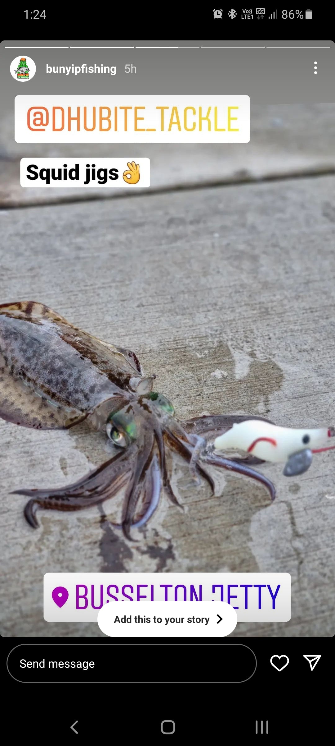 Squid Jigs - size 3.0