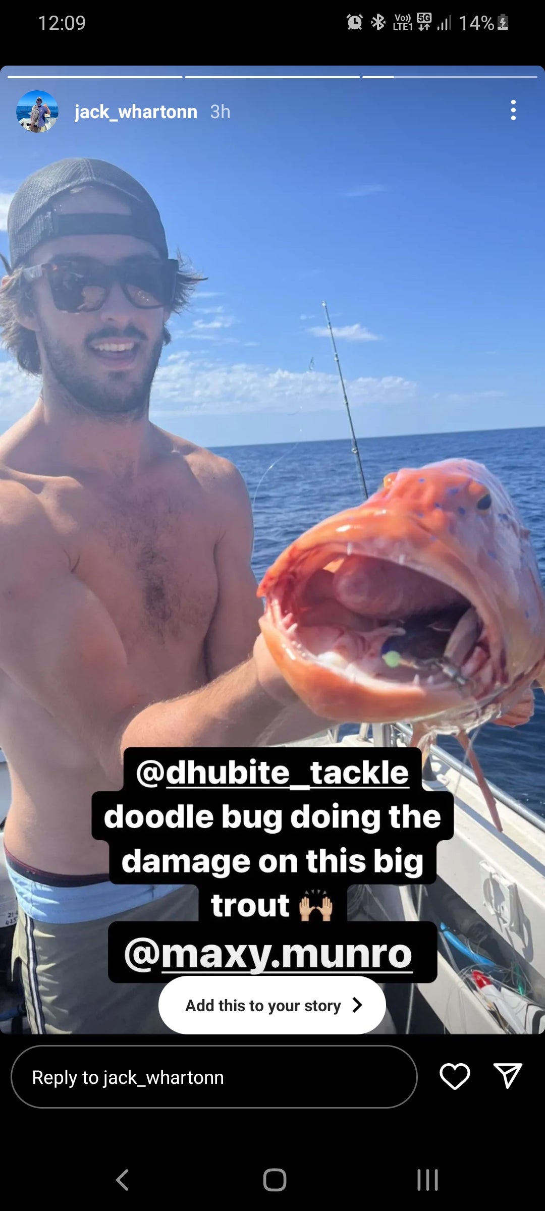 The Doodlebug