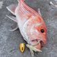 Baited Jig Heads