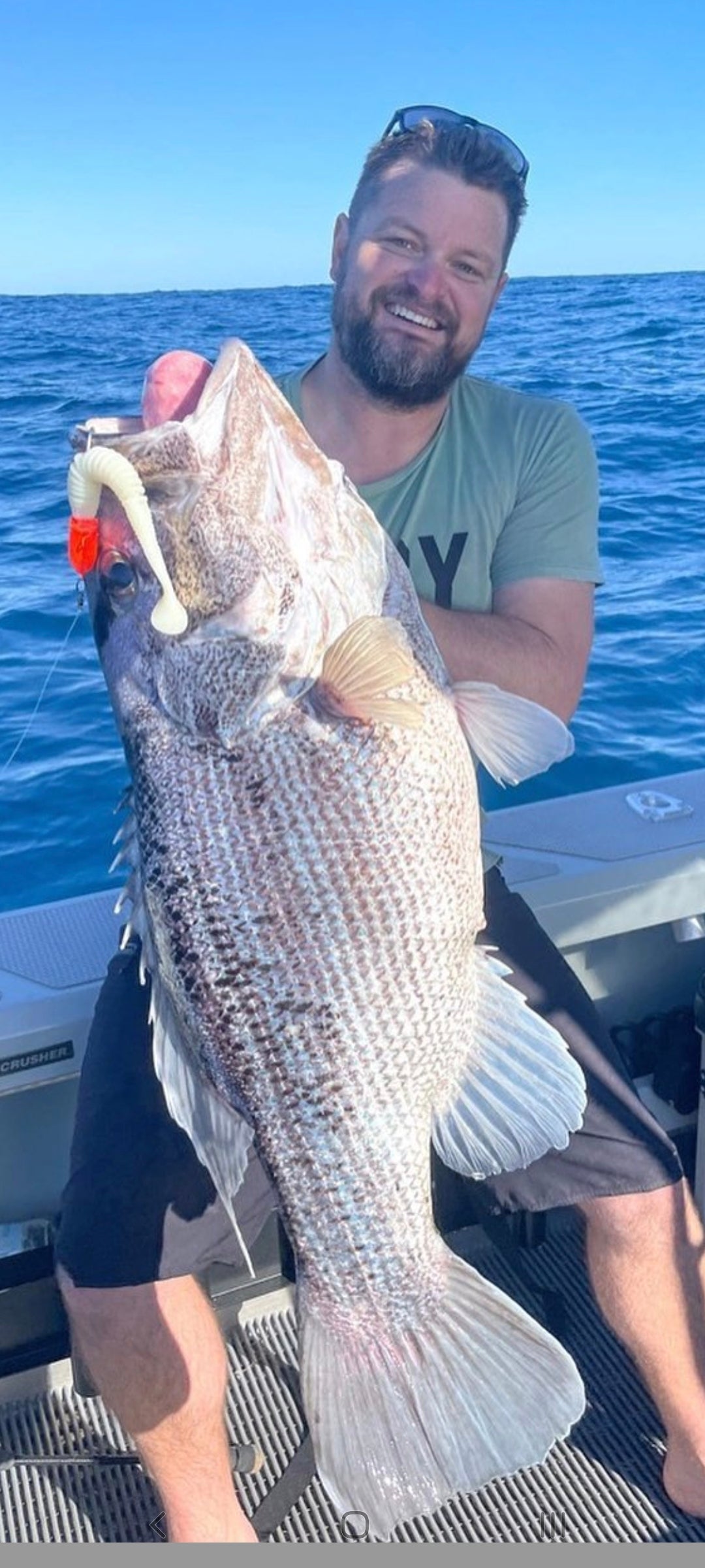 Paddletail (Ribbed) - 22cm, 13cm, 11cm