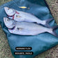 Spinner / Twisty / Metal Lure 21g