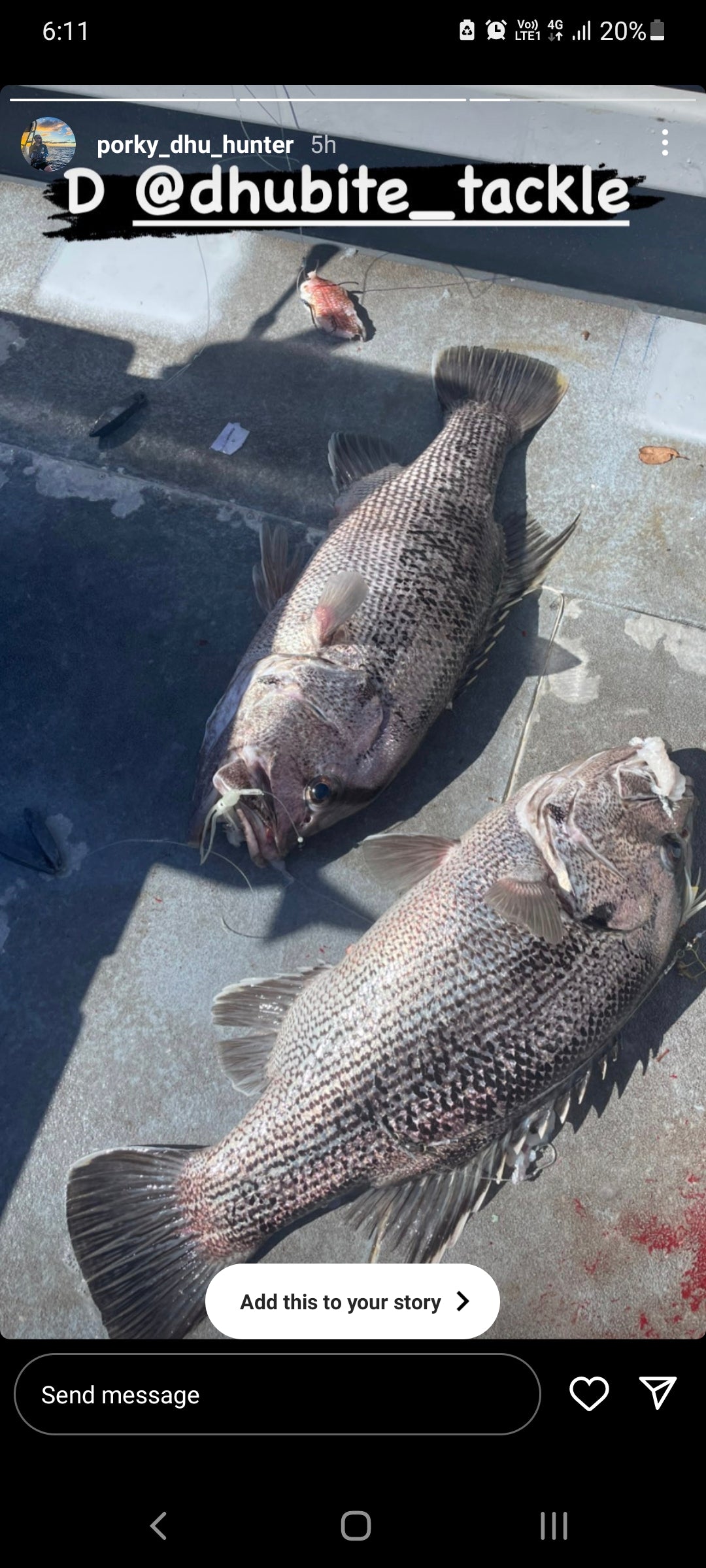 3 Dropper Rigs - J Hook