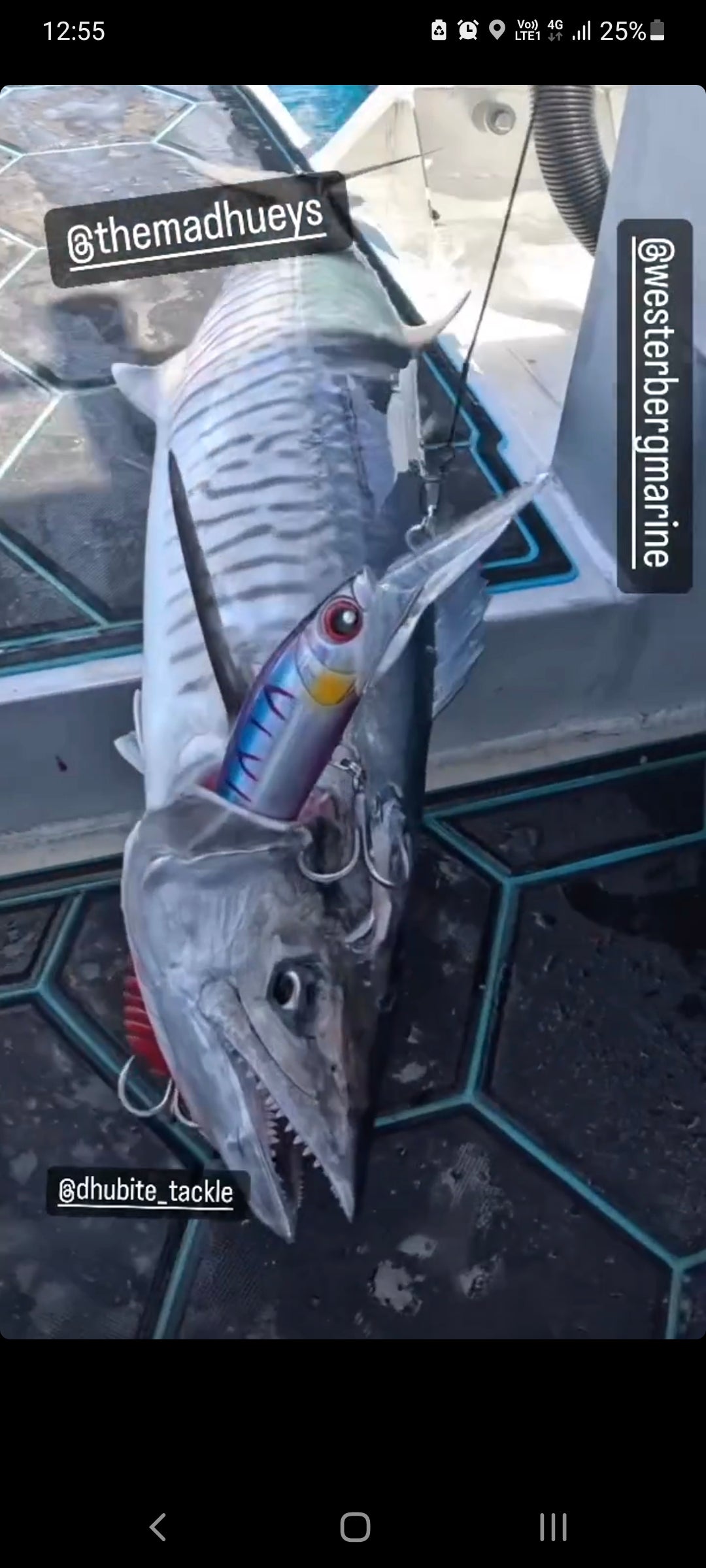 Deep Diver Trolling Lure
