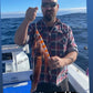 Deep Drop Jigs (600g, 750g, 1000g)