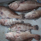Deep Drop Rigs (16/0, 400lb)