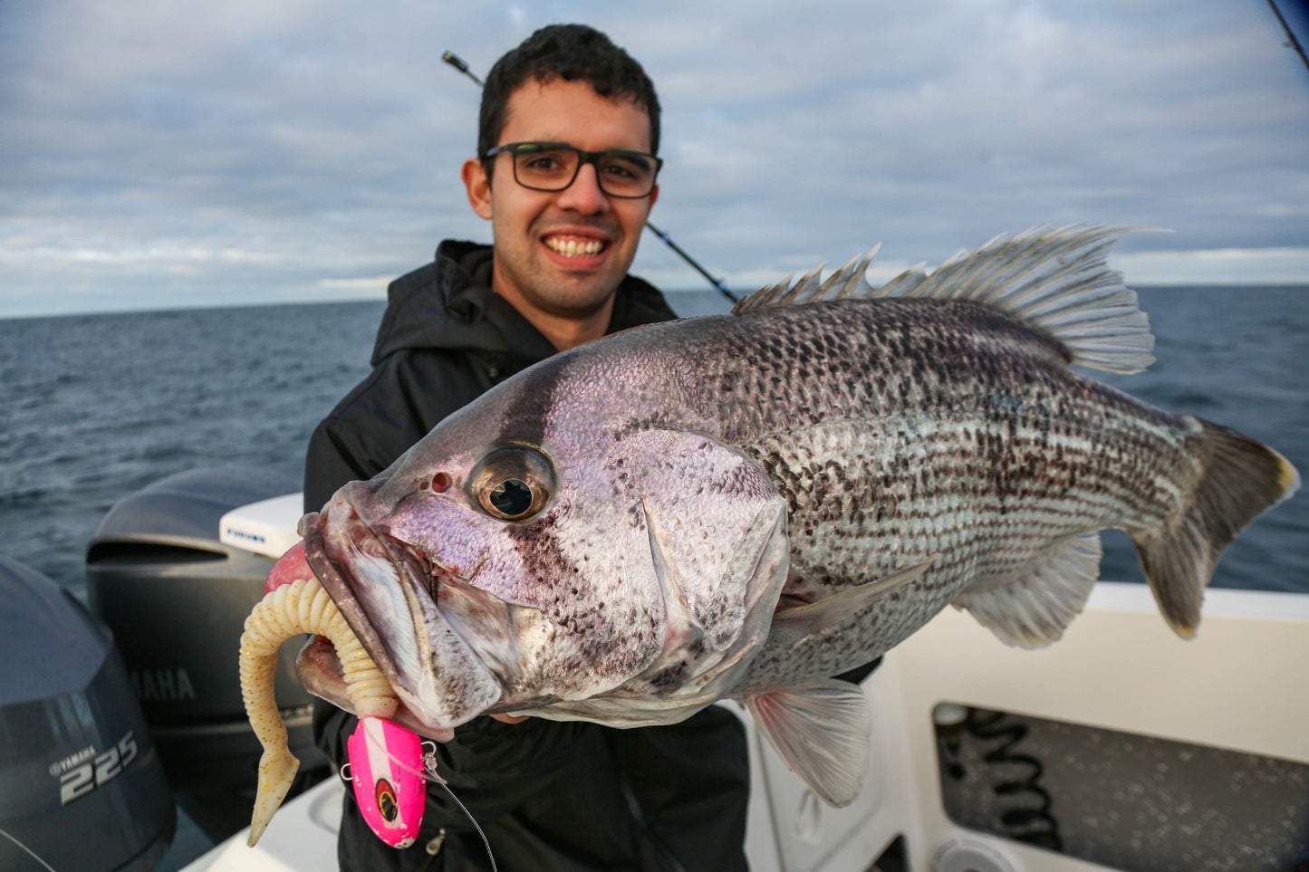 Paddletail (Ribbed) - 22cm, 13cm, 11cm