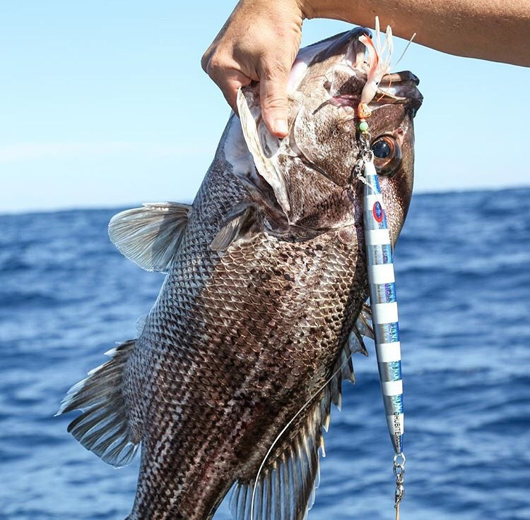 Deep Drop Jigs (600g, 750g, 1000g)