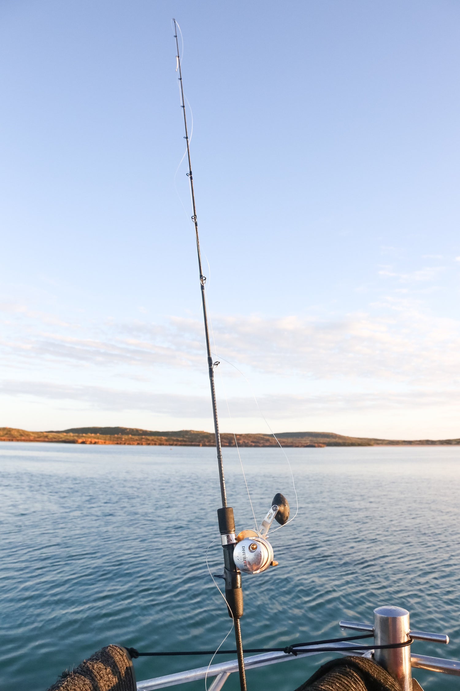 Jigging Rods
