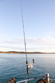 Dhubite Ultimate All-round Rod (Jigging, Soft plastic, Bottom Bouncing)