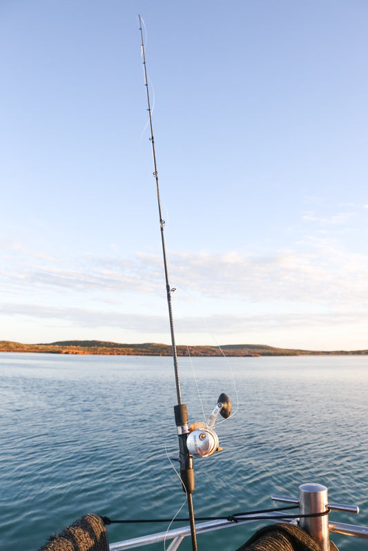 Dhubite Ultimate All-round Rod (Jigging, Soft plastic, Bottom Bouncing)