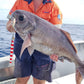 Deep Drop Jigs (600g, 750g, 1000g)