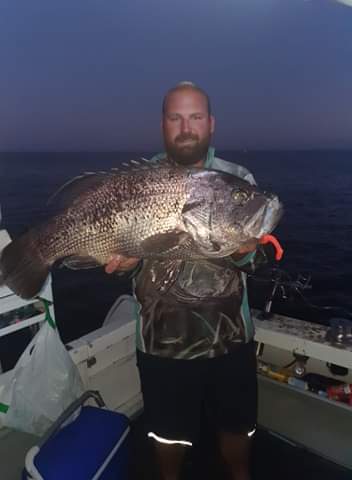 Paddletail (Ribbed) - 22cm, 13cm, 11cm