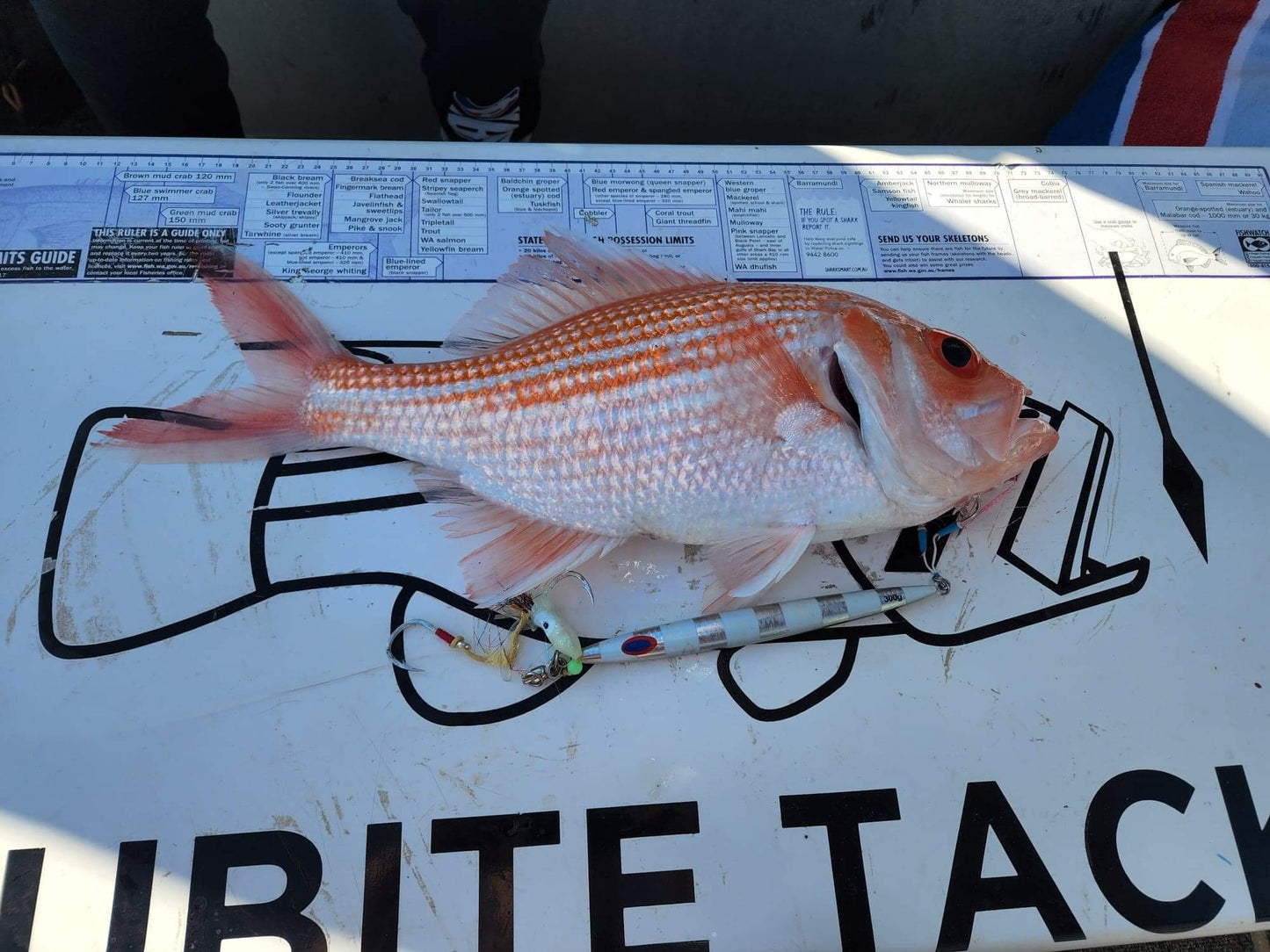 Deep Drop Jigs (600g, 750g, 1000g)